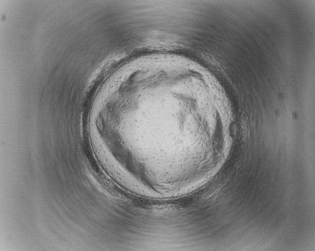 X0000052640686200507292306