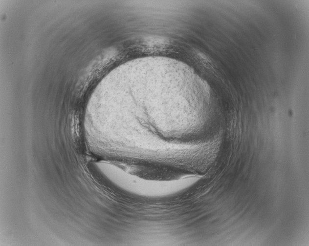 X0000052640700200507292305