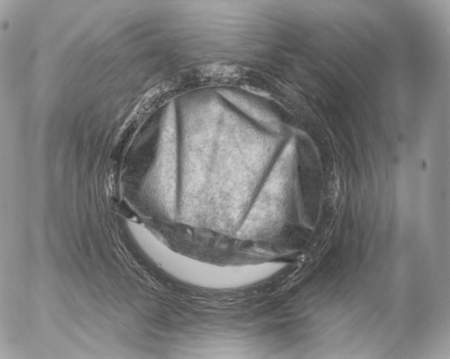X0000052640708200507292305