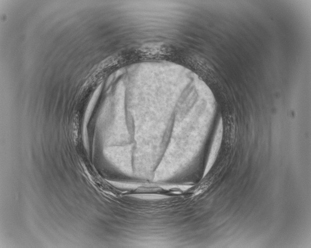X0000052640710200507292305