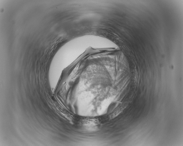 X0000052640711200507292305