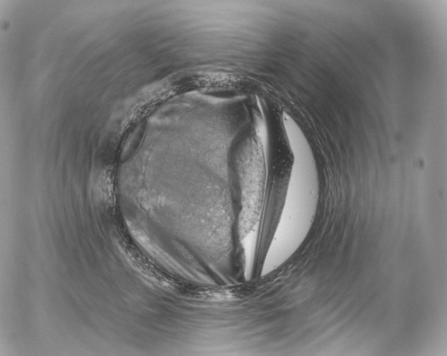 X0000052640715200507292305