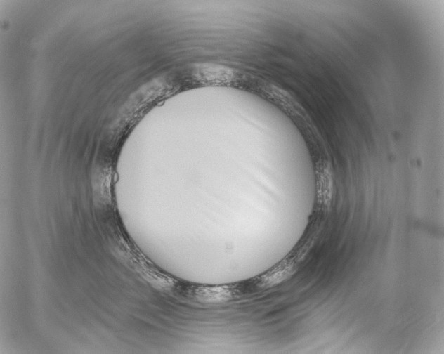 X0000052640717200507292305