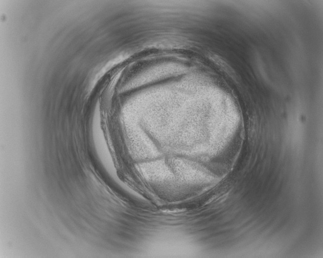 X0000052640727200507292304