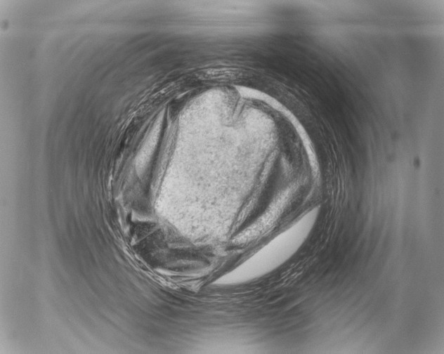X0000052640751200507292305