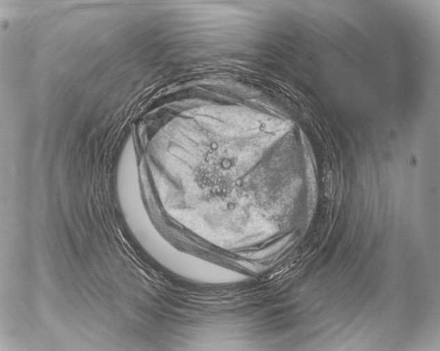 X0000052640753200507292305