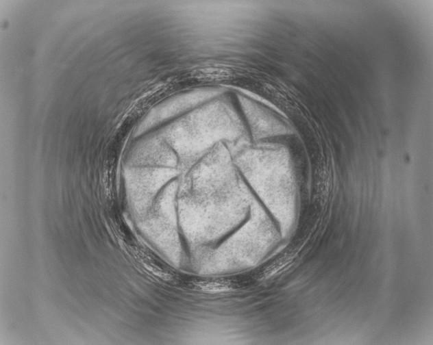 X0000052640755200507292305