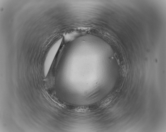 X0000052640756200507292305