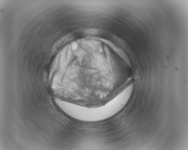 X0000052640765200507292305