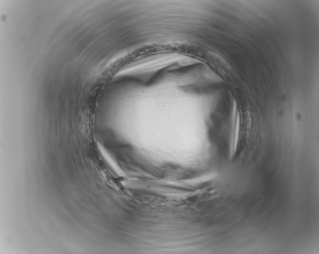 X0000052640773200507292304