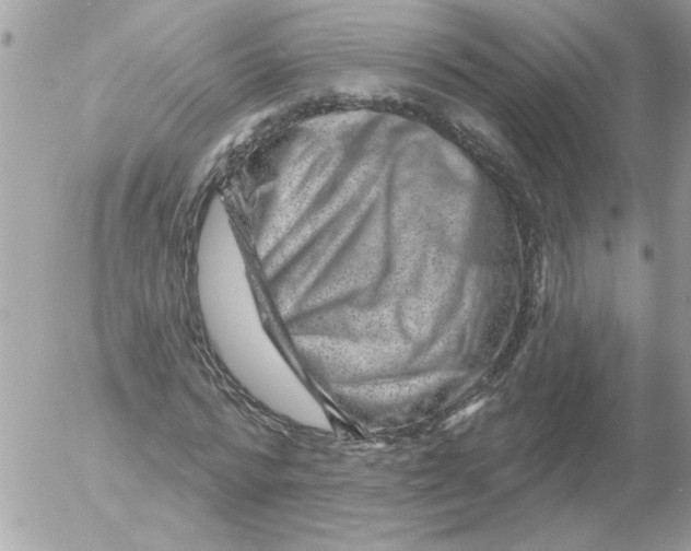 X0000052640776200507292304