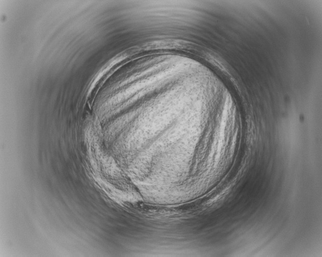 X0000052640786200507292304