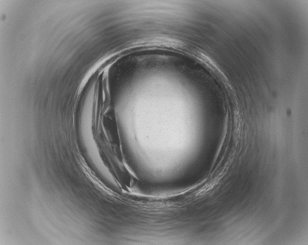 X0000052640788200507292304