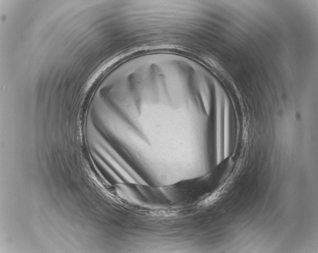 X0000052640789200507292304