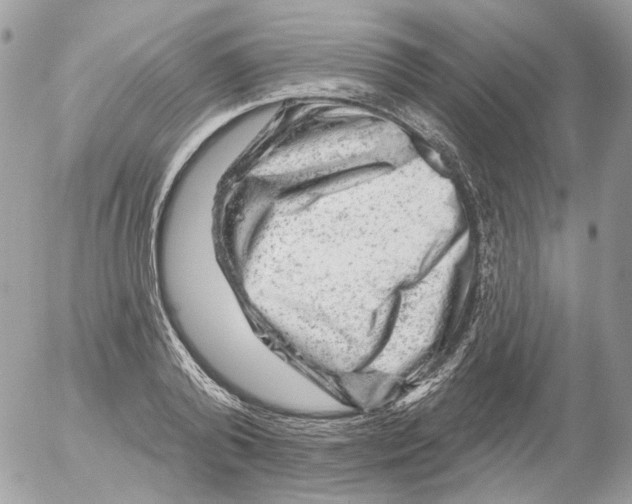 X0000052640792200507292304