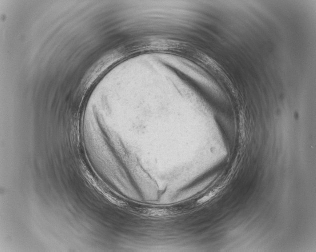 X0000052640794200507292304