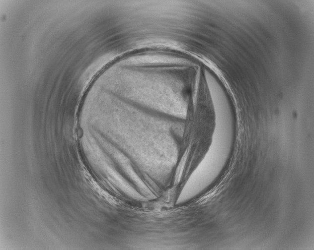 X0000052640799200507292304