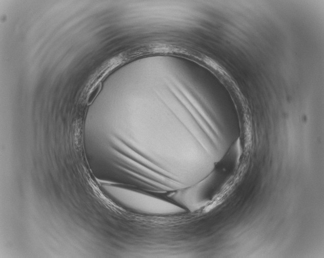 X0000052640801200507292304
