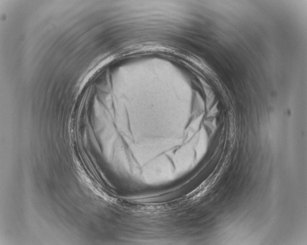 X0000052640806200507292304