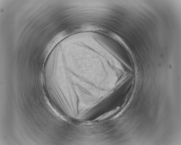 X0000052640810200507292304