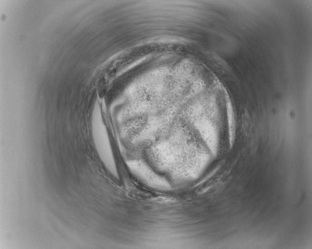 X0000052640821200507292303