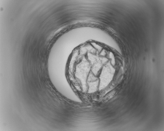 X0000052640822200507292303