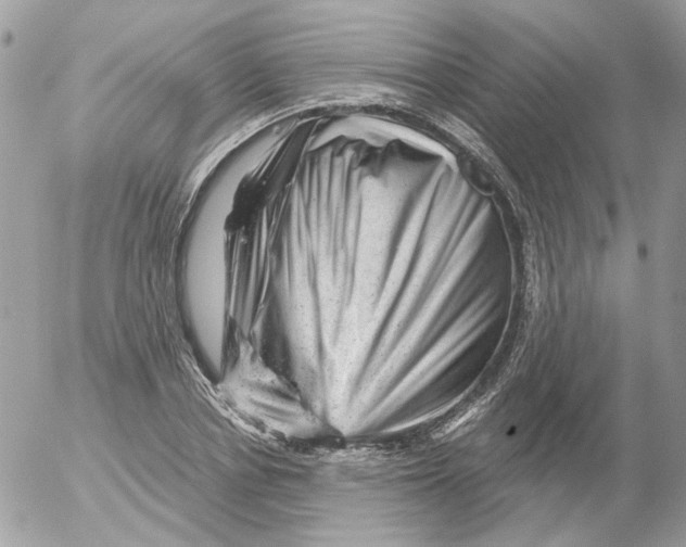 X0000052640834200507292303