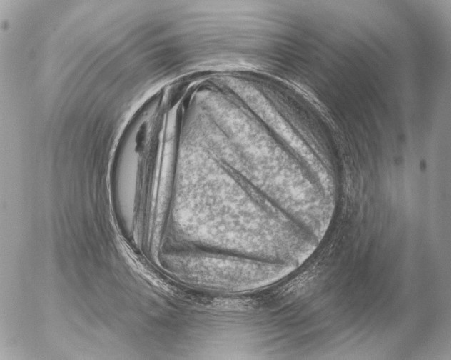 X0000052640840200507292303