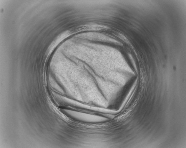 X0000052640843200507292303