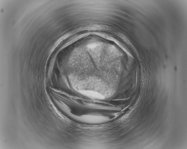 X0000052640845200507292303