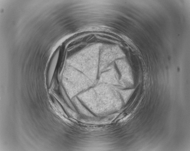 X0000052640846200507292303
