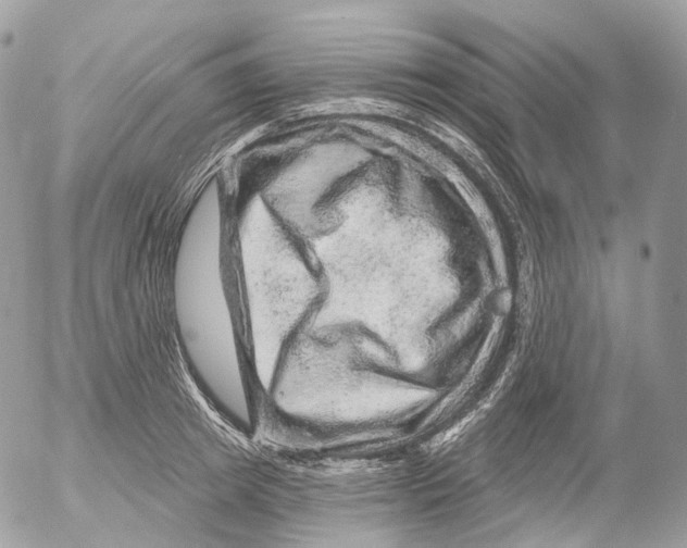 X0000052640849200507292303