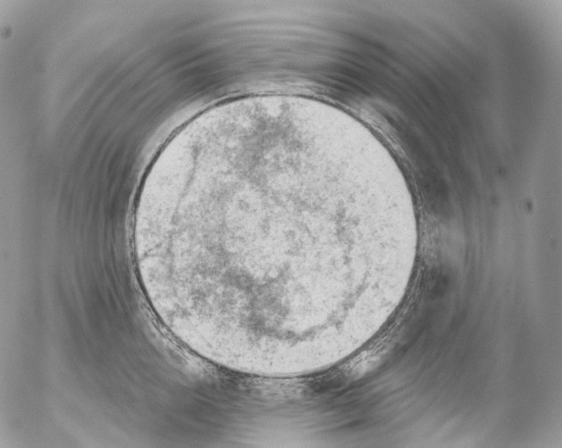 X0000052640856200507292303