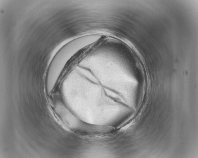 X0000052640862200507292303