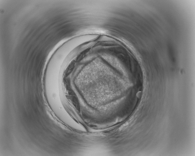 X0000052640864200507292303