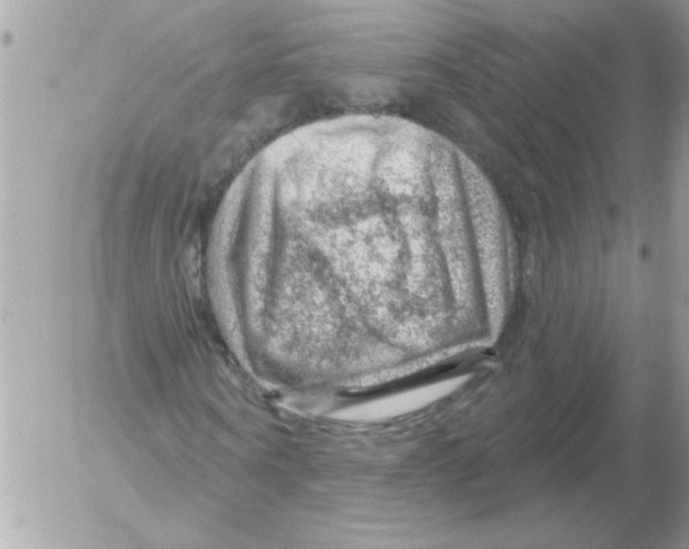 X0000052640866200507292303