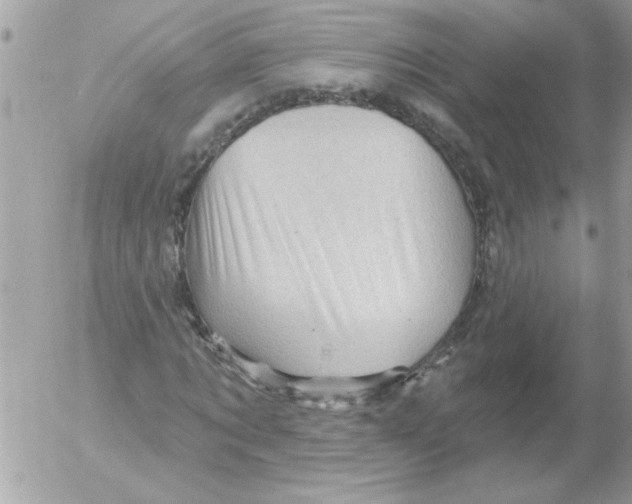 X0000052640869200507292303