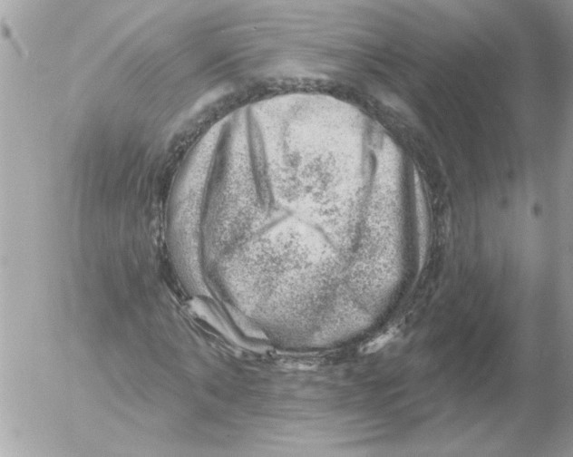 X0000052640870200507292303