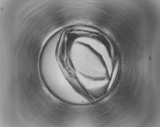X0000052640888200507292302