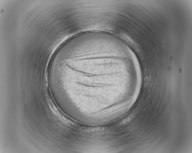 X0000052640892200507292302