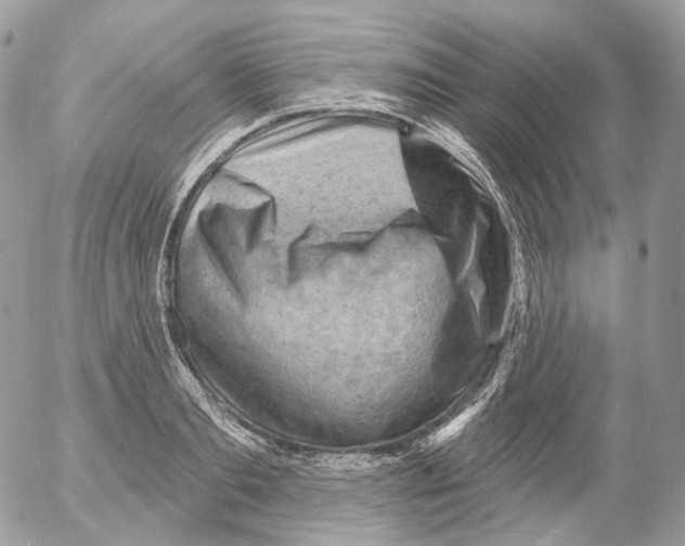 X0000052640893200507292302