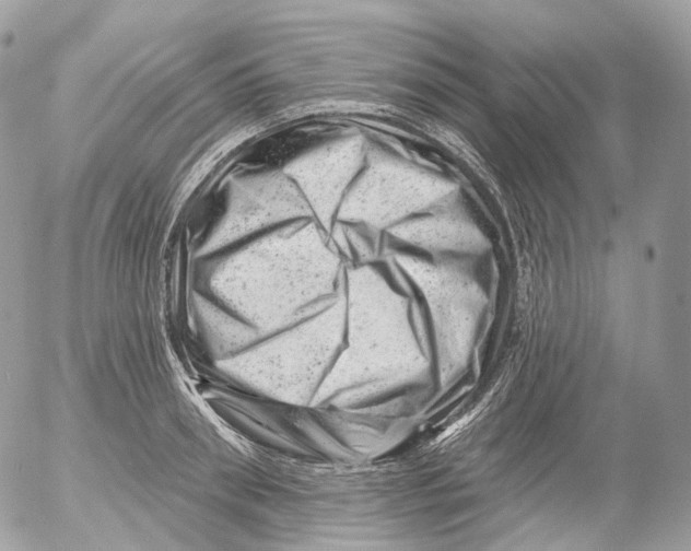 X0000052640898200507292302