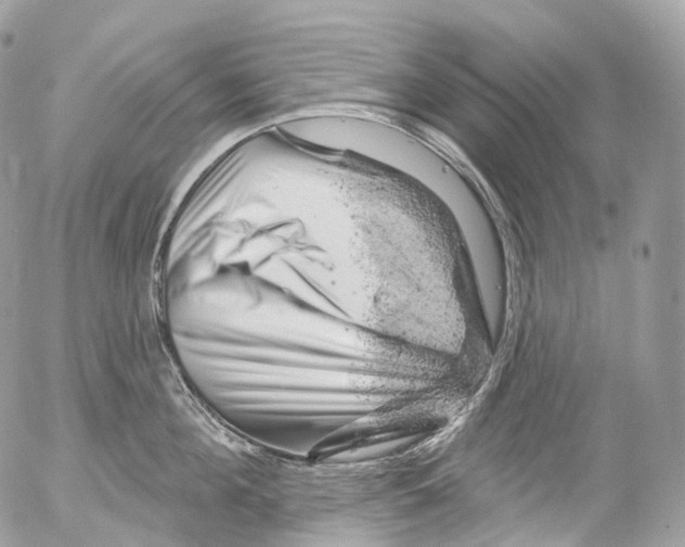 X0000052640908200507292302