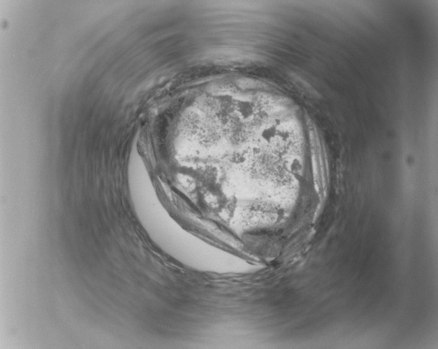 X0000052640917200507292301