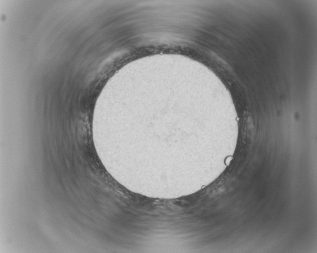 X0000052640918200507292301