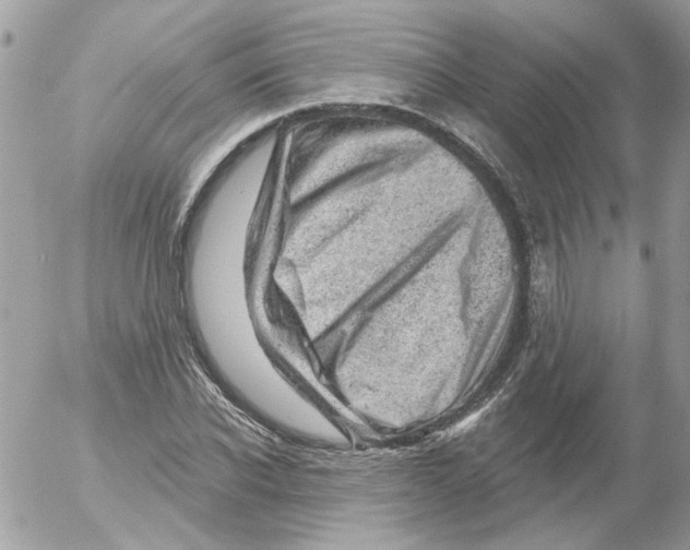 X0000052640926200507292301
