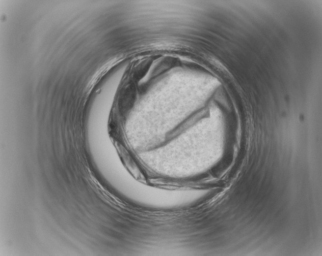 X0000052640930200507292301