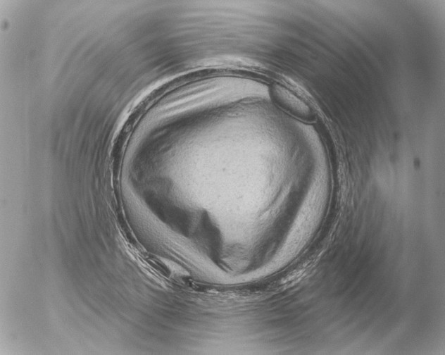 X0000052640931200507292301