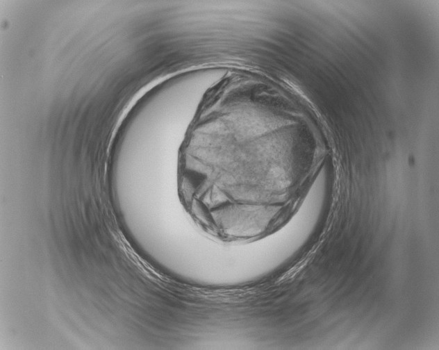 X0000052640932200507292301