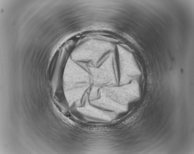 X0000052640934200507292301